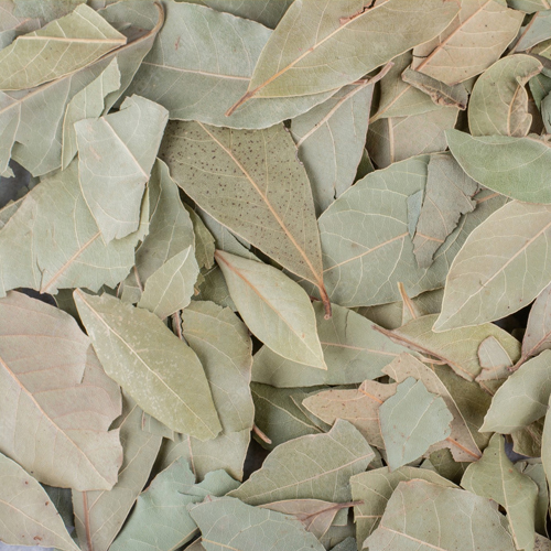 Bayleaf