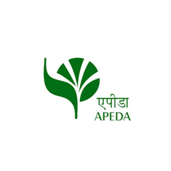 Apeda